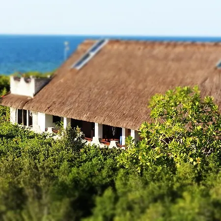 The Blue Orchid Resort-3